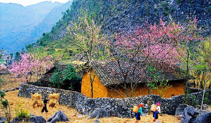 HA GIANG 2 DAYS 3 NIGHTS (2 NIGHTS ON THE BUS)